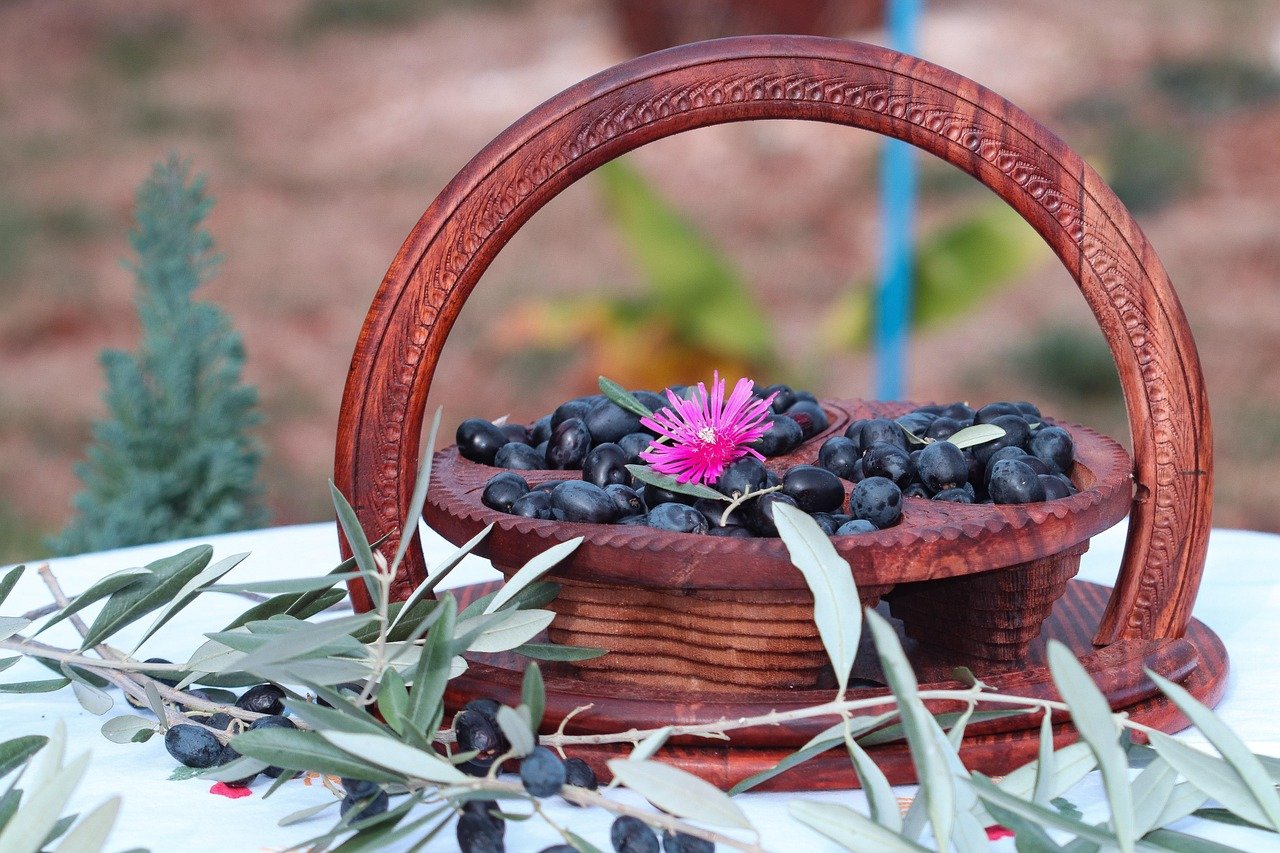 olives, olive harvest, mediterranean, olive oil, wooden basket, rustic food, black olives, healthy food, autumn harvest, organic farming, natural nutrition, olive branch, fresh olives, gourmet, rural tradition, slow food, edible fruit, olive leaves, farm to table, mediterranean diet, artisanal, traditional farming, seasonal produce, wooden decor, olive culture