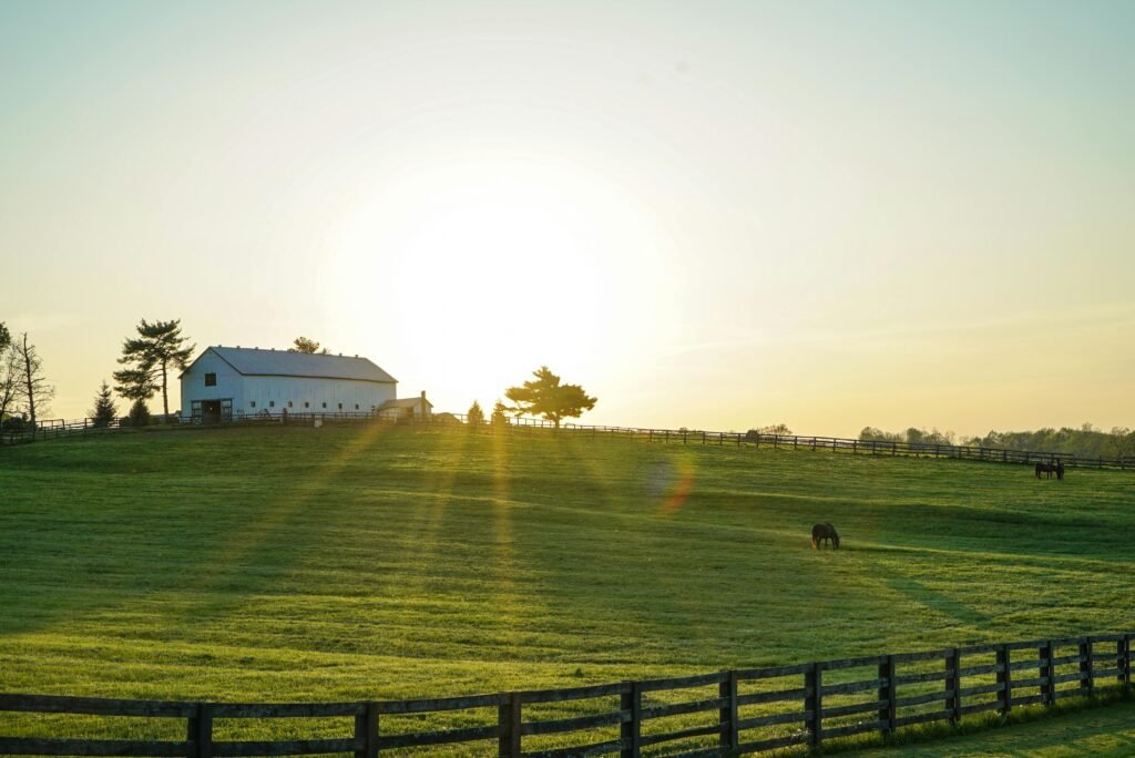 pexels photo 2042161 2042161 Beautiful sunrise illuminating a peaceful Kentucky farm with lush green pastures and grazing horses.